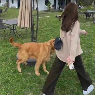 狂人法则